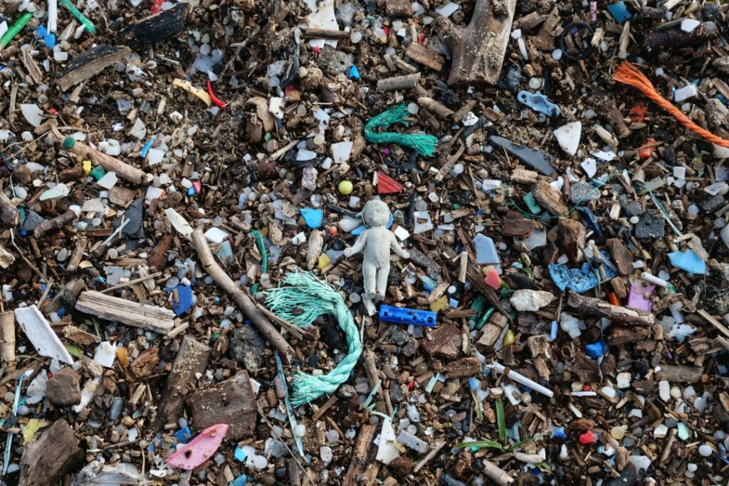Effects of plastic debris on ocean ecosystems