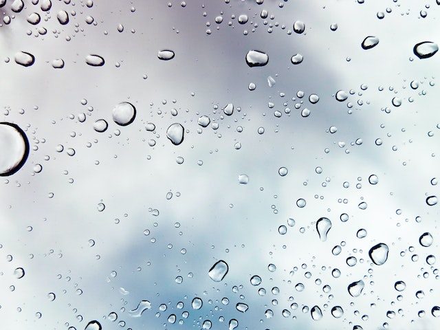 Exceptional Window Cleaning Services